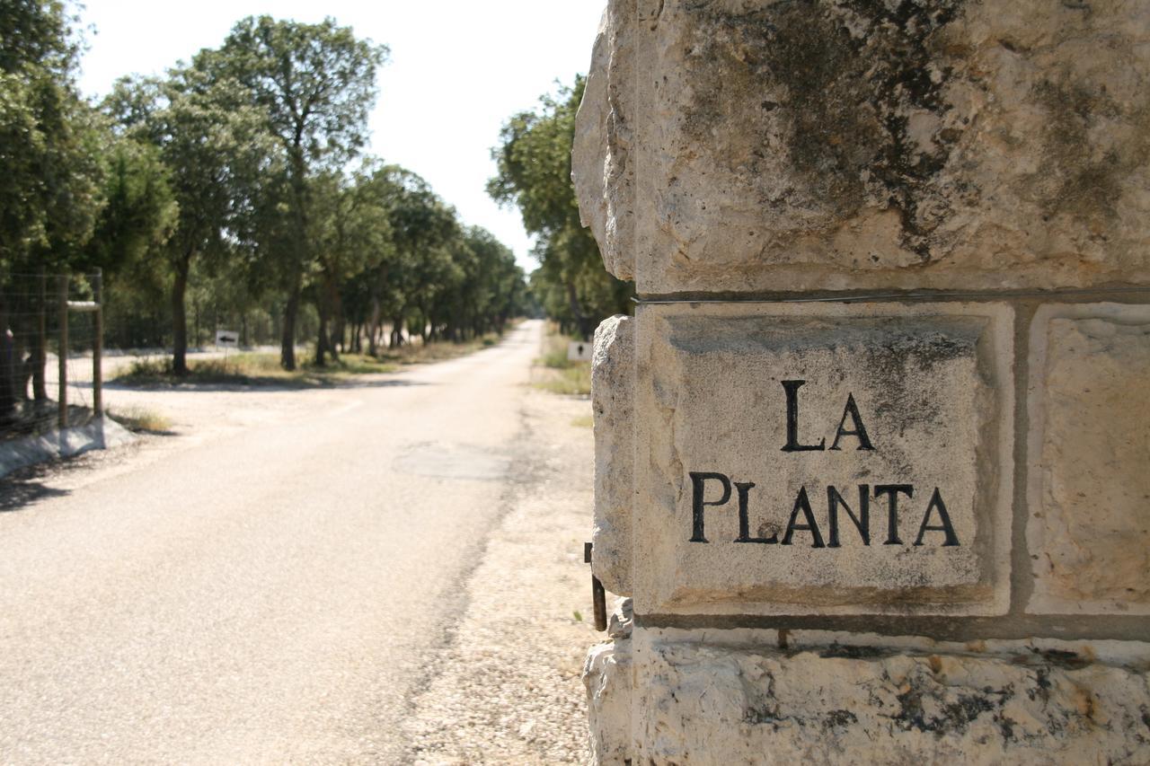 La Casita De La Planta Hotel Quintanilla de Onésimo Kültér fotó